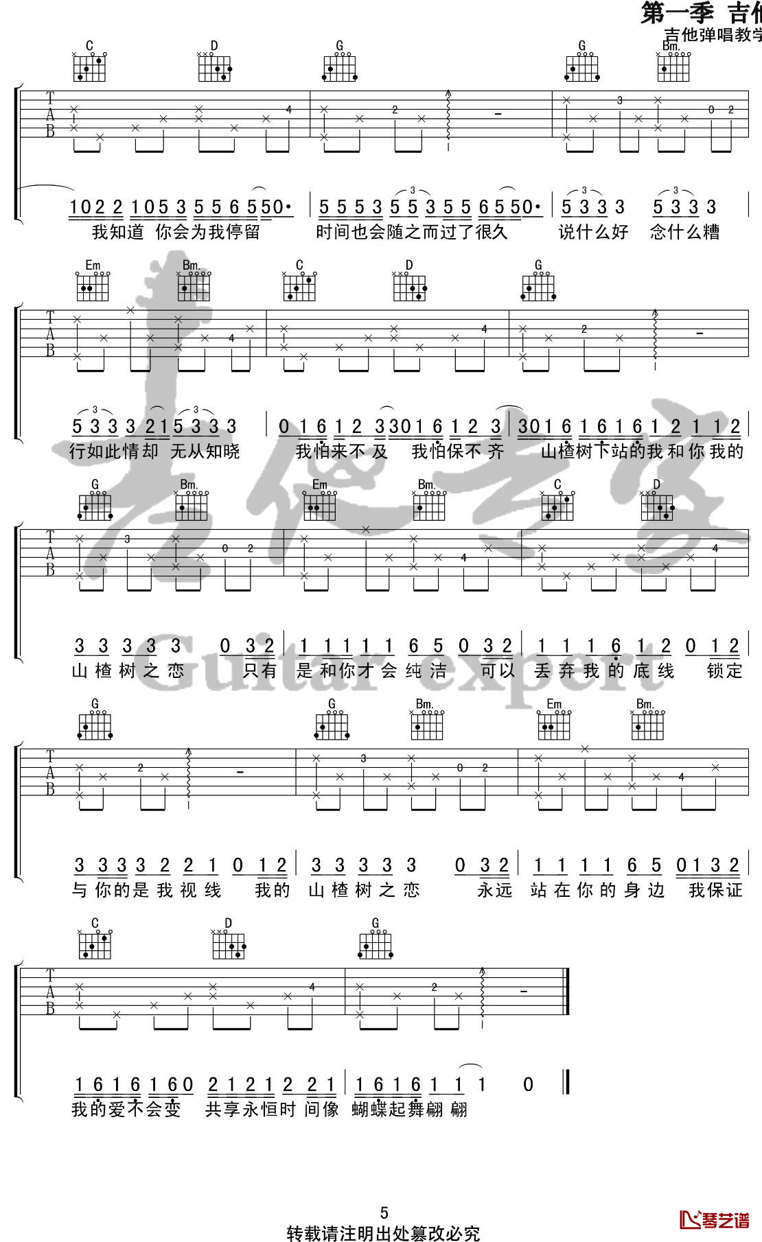 山楂树之恋吉他谱 G调吉他弹唱 大能人/程佳佳5
