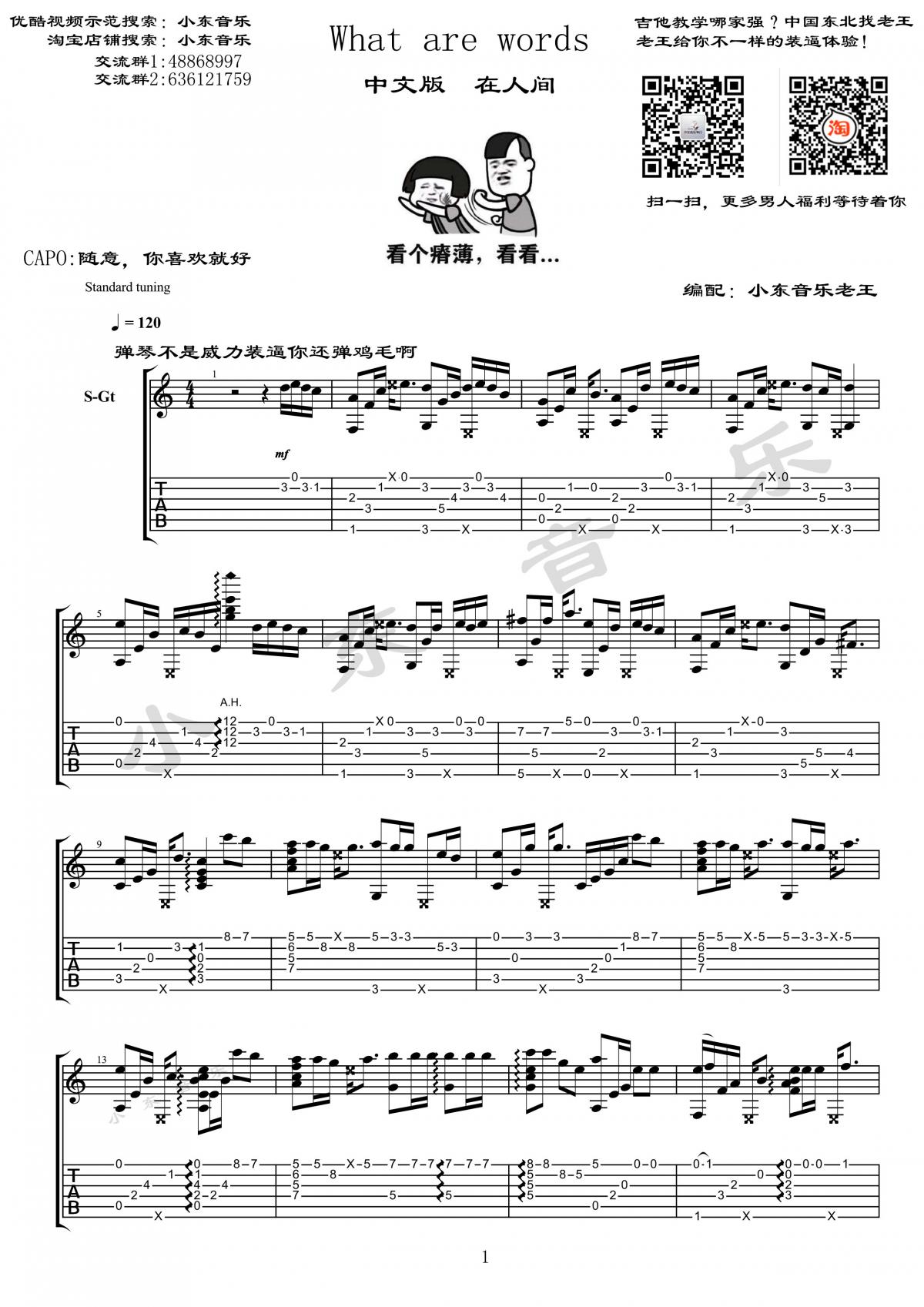 What are words_指弹版吉他谱_Chris Medina1