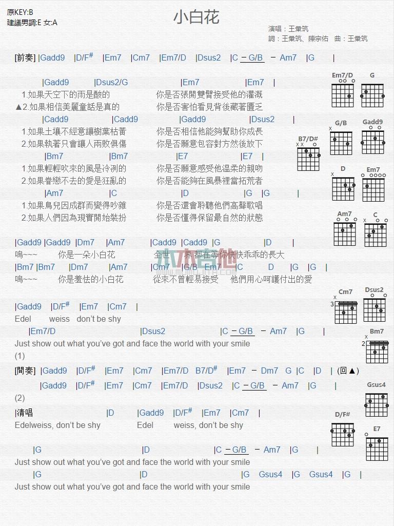 小白花吉他谱_王汇筑1