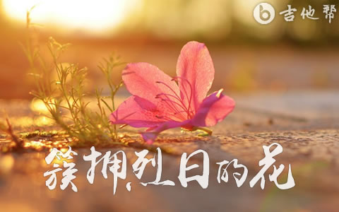 簇拥烈日的花吉他谱_迟里乌布_C调弹唱六线谱1