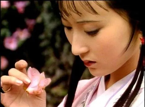 红楼梦《葬花吟》吉他谱_C调吉他独奏谱1