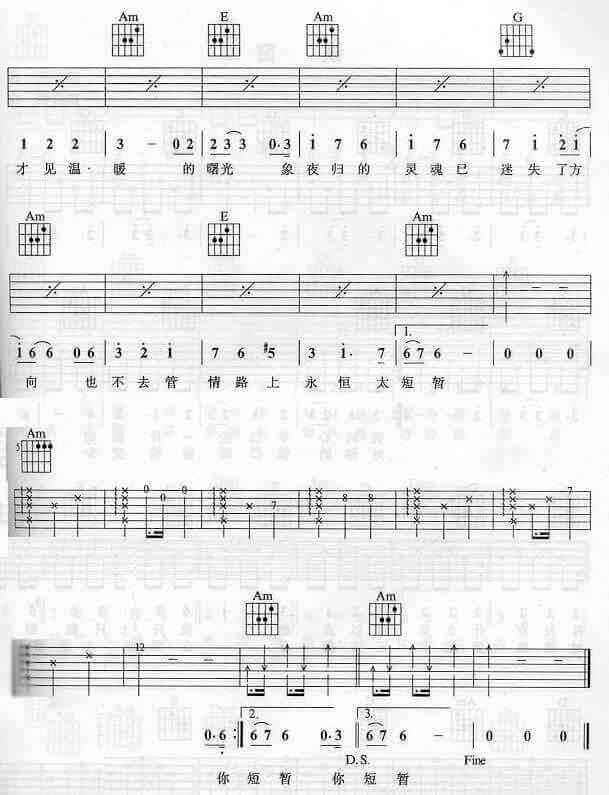都是夜归人吉他谱 C调六线谱-简单版-许美静1