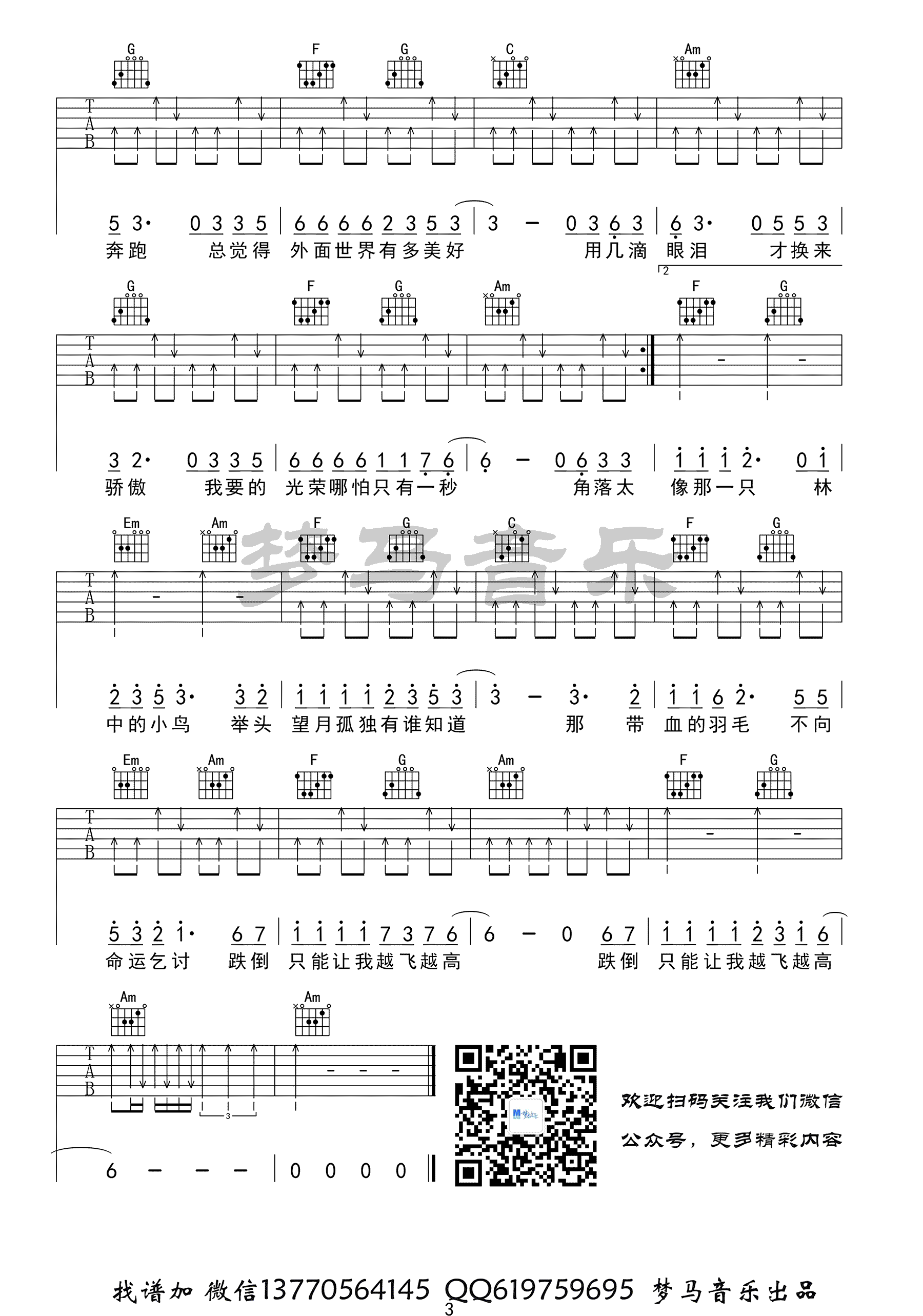 林中鸟吉他谱_葛林_C调指法扫弦版编配_吉他弹唱六线谱3