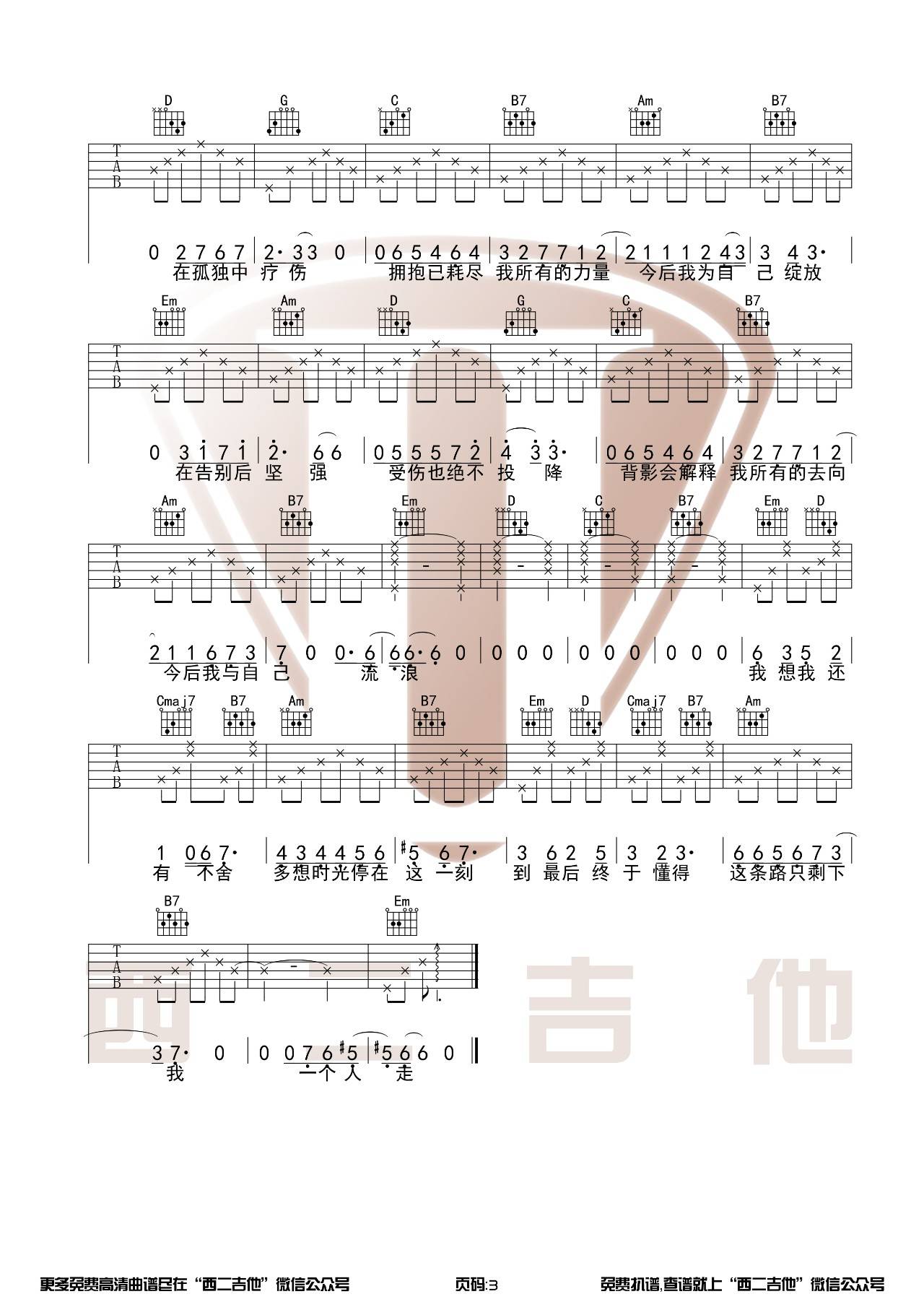 今后我与自己流浪吉他谱 G调_西二吉他编配_张碧晨3
