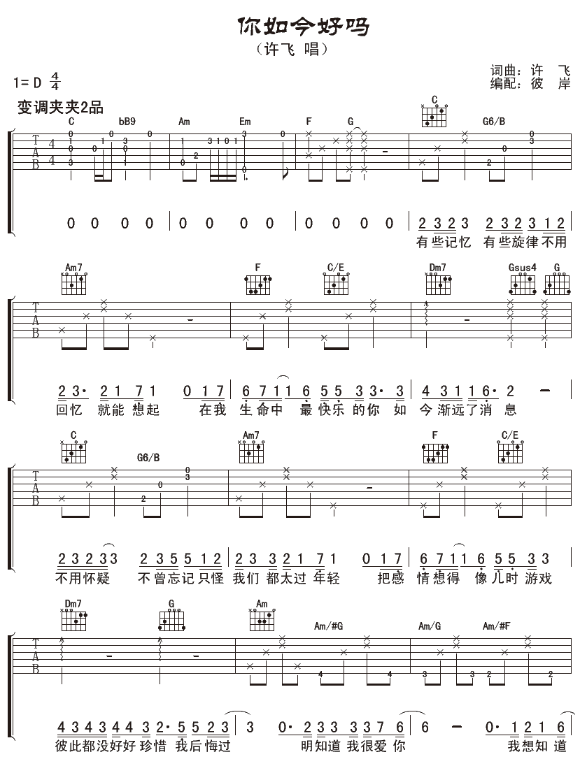 你如今好吗吉他谱 D调女生版-许飞1