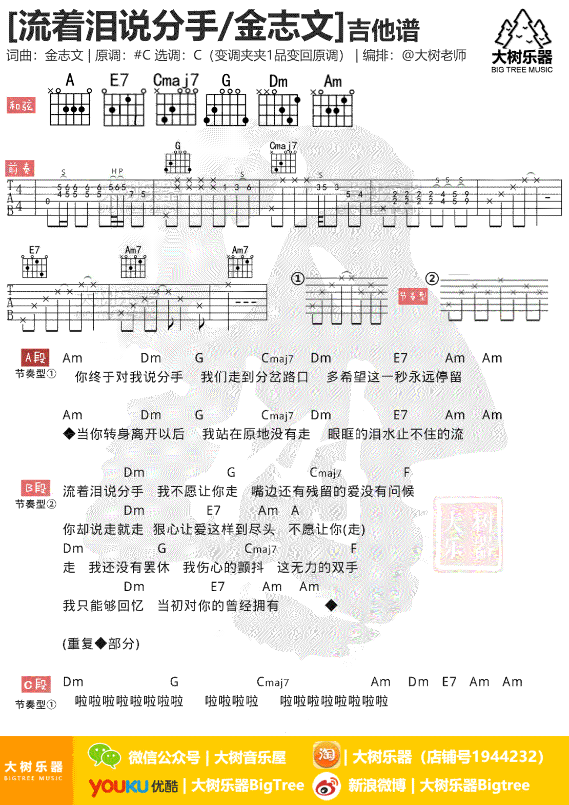 流着泪说分手吉他谱 金志文 C调弹唱谱 图片谱2