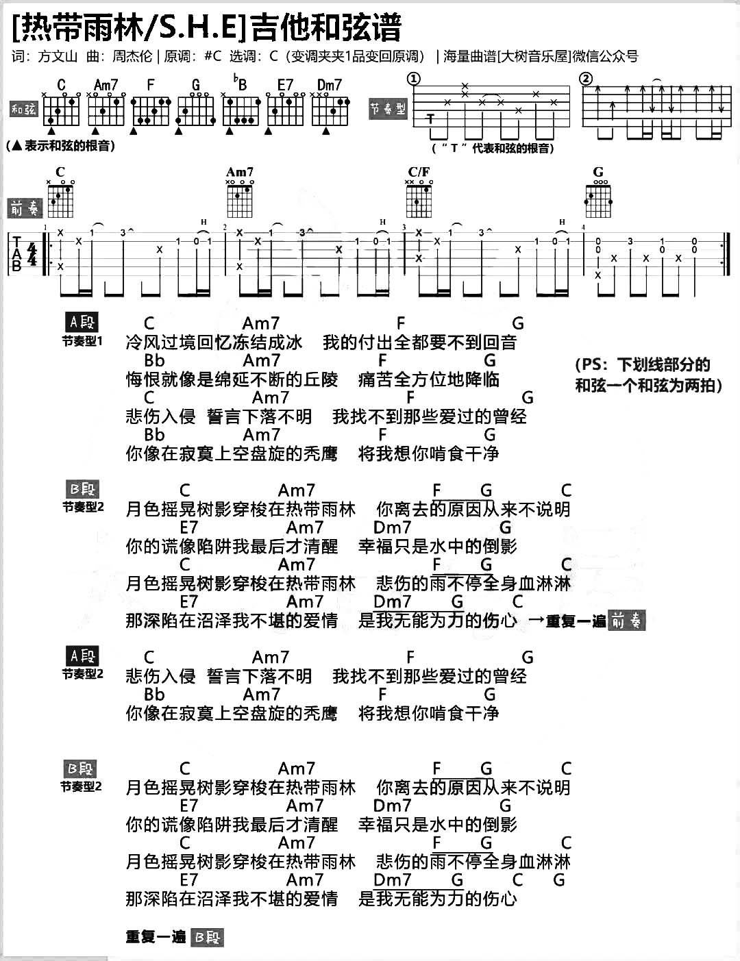 《热带雨林》吉他谱_C调原版和弦谱_高清图片谱_SHE1