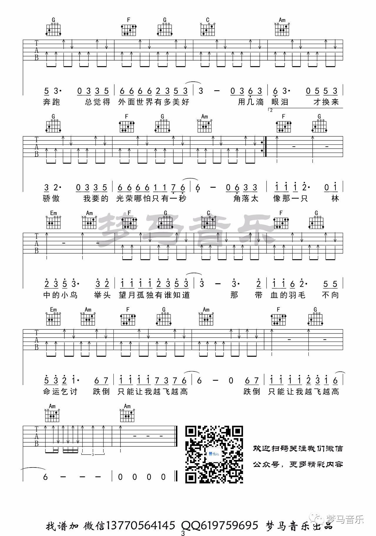 林中鸟吉他谱 C调_梦马音乐编配_葛林3