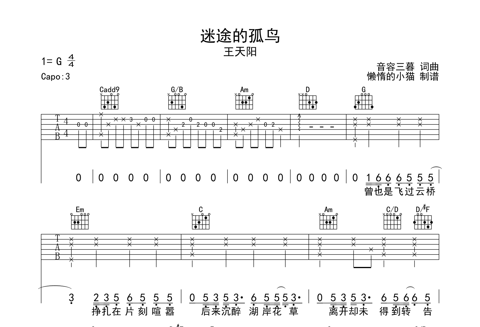 王天阳《迷途的孤鸟》吉他谱_G调吉他弹唱谱1