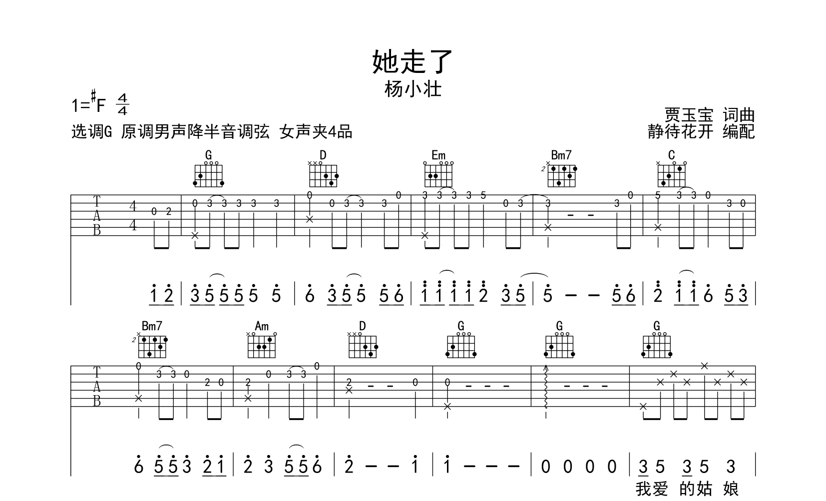 她走了吉他谱-G调原版弹唱谱-杨小壮1
