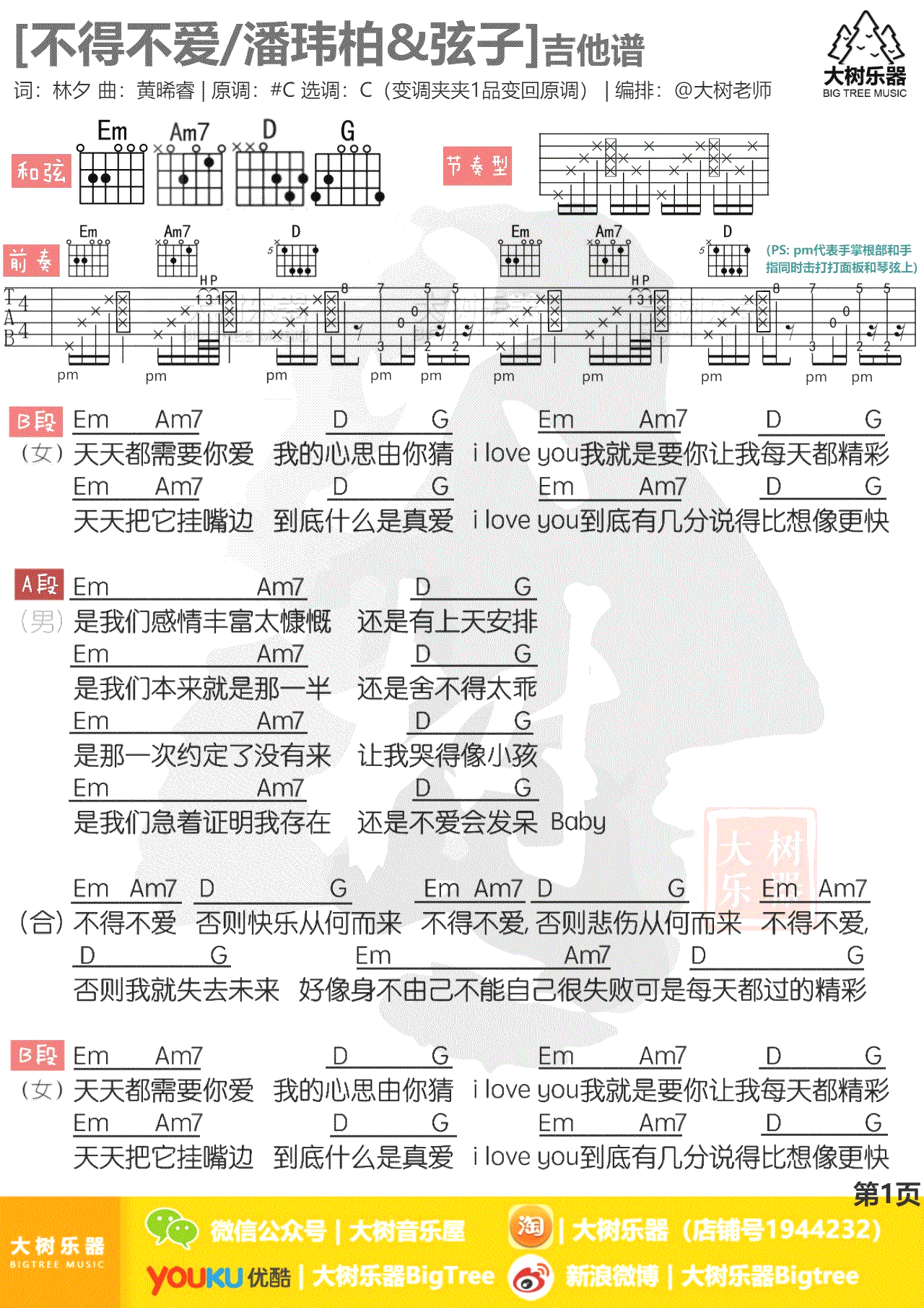不得不爱吉他谱 潘玮柏&弦子 C调和弦 吉他教学视频1