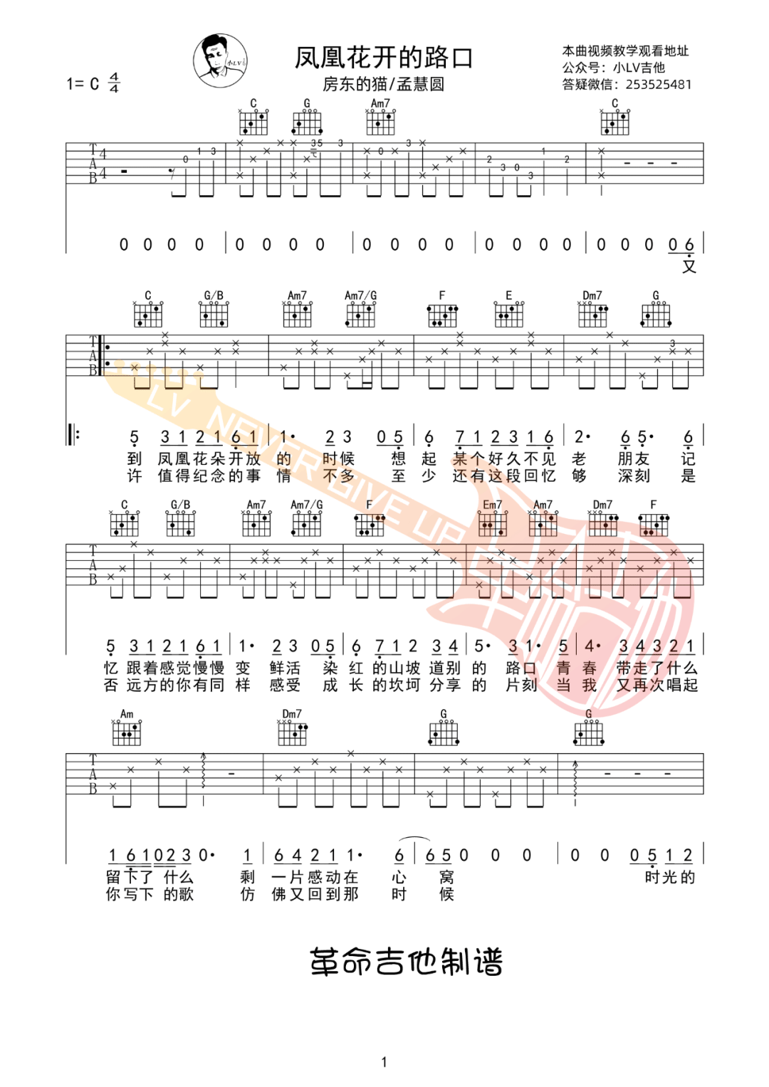 凤凰花开的路口吉他谱_房东的猫/孟慧圆_C调_吉他弹唱六线谱1