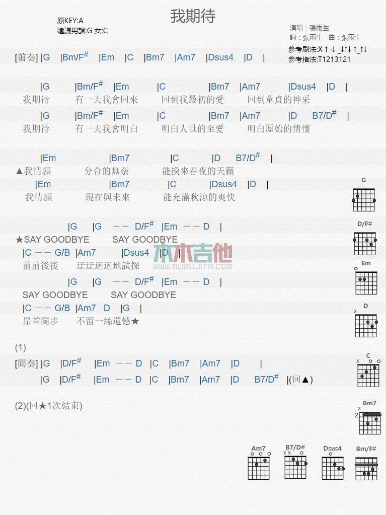我期待_吉他谱_张雨生1