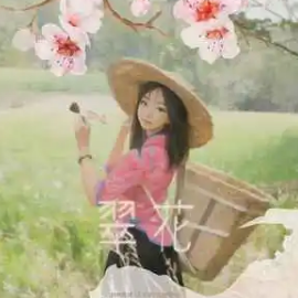 翠花吉他谱-DP龙猪 /王云宏 /陷阱表哥-C调原版吉他谱