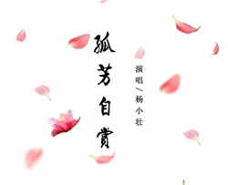 孤芳自赏吉他谱 杨小壮 抖音歌曲