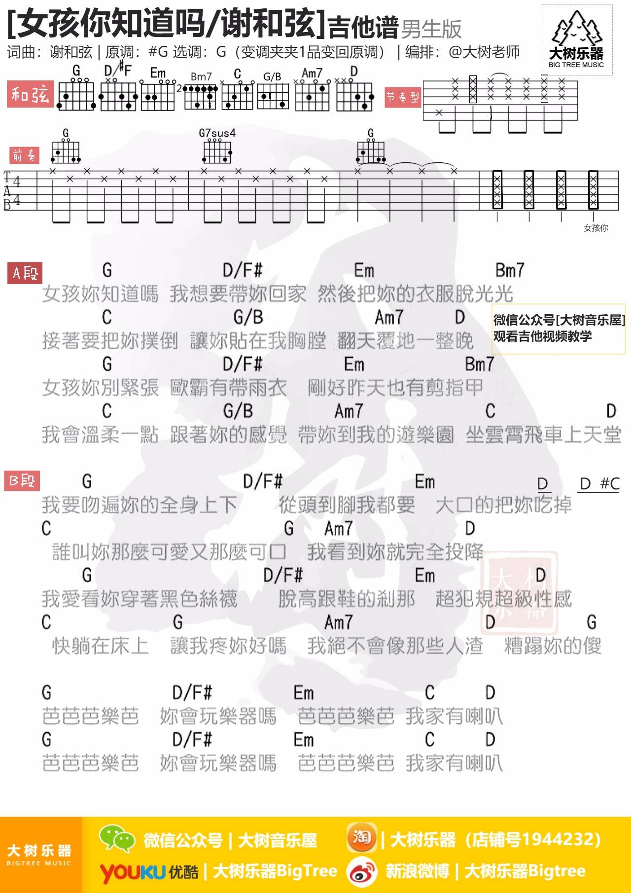 女孩你知道吗吉他谱 G调_大树音乐屋编配_谢和弦1
