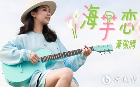 海芋恋吉他谱_G调_萧敬腾_弹唱演示/吉他教学视频1
