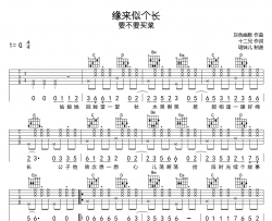 缘来似个长吉他谱-要不要买菜-G调吉他弹唱谱