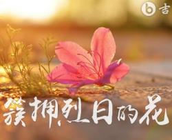 簇拥烈日的花吉他谱_迟里乌布_C调弹唱六线谱