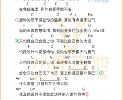 《情非得已》吉他谱庾澄庆C调指法_小鹿吉他