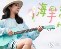 海芋恋吉他谱_G调_萧敬腾_弹唱演示/吉他教学视频