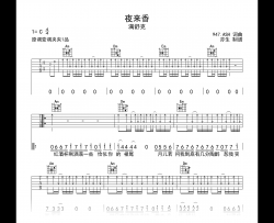 夜来香吉他谱_满舒克_C调_弹唱六线谱