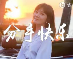分手快乐吉他谱_梁静茹_C调弹唱谱_高清六线谱