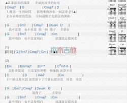 傻子_吉他谱_林宥嘉