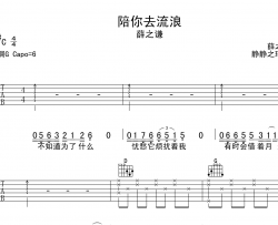 薛之谦《陪你去流浪》吉他谱_G调吉他弹唱谱