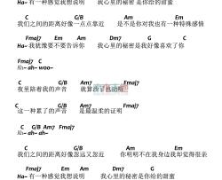 邓紫棋《我的秘密》吉他谱(C调)-Guitar Music Score