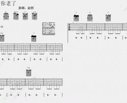 赵照《当你老了》吉他谱(D调)-Guitar Music Score
