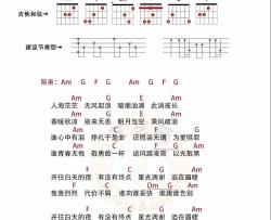 尹姝贻《白夜》吉他谱(C调)-Guitar Music Score