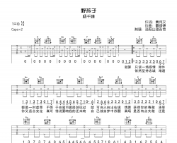 杨千嬅《野孩子》吉他谱-C调吉他弹唱谱