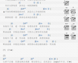 那英《一笑而过》吉他谱-Guitar Music Score