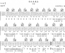 白挺《你从未离去》吉他谱_G调原版吉他谱