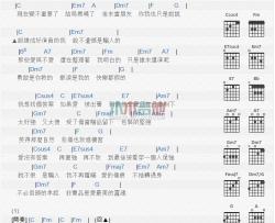 蔡依林《非卖品》吉他谱-Guitar Music Score
