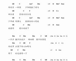 放下吉他谱 G调和弦谱_男生版_胡夏