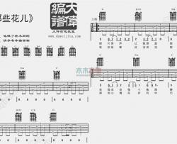 朴树《那些花儿》吉他谱(G调)-Guitar Music Score