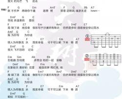 夜信吉他谱 C调和弦谱_大树音乐屋编配_IU