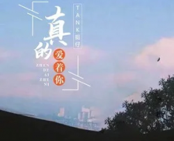 真的爱着你吉他谱_TANK挺仔_C调吉他六线谱