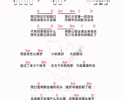 会痛的石头吉他谱 G调和弦谱_吉他163编配_萧敬腾