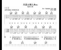 风是从哪儿来wu吉他谱_旺仔小乔_C调指法_弹唱六线谱