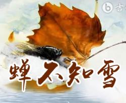 蝉不知雪吉他谱_河图_G调弹唱六线谱