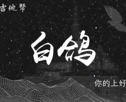 白鸽吉他谱_你的上好佳_C调弹唱谱_原版精编