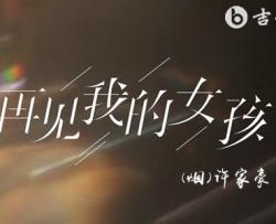 再见 我的女孩吉他谱_(烟)许家豪_G调弹唱谱