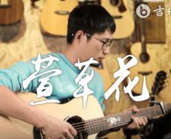 萱草花吉他谱_男生版_弹唱演示视频_高清六线谱