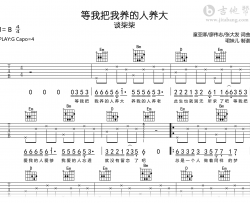 等我把我养的人养大吉他谱_谈柒柒_G调_完整高清版