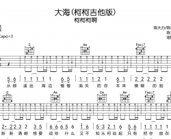 大海(柯柯吉他版)吉他谱-柯柯柯啊-C调扫弦版