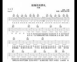 许嵩《玫瑰花的葬礼》吉他谱_G调原版弹唱六线谱