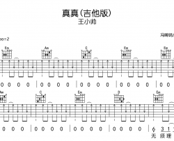 真真(吉他版)吉他谱_王小帅_《真真》G调吉他弹唱谱